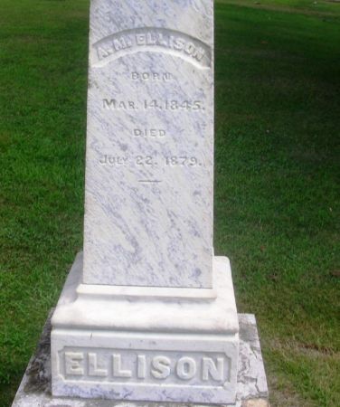 ELLISON, A. M. - Winneshiek County, Iowa | A. M. ELLISON 