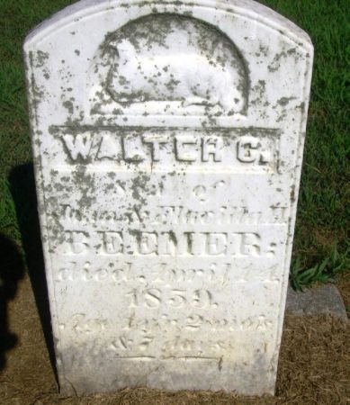 EMER, WALTER C. - Winneshiek County, Iowa | WALTER C. EMER 