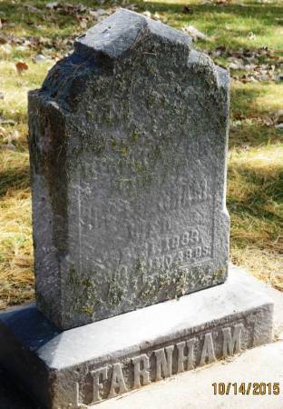 FARNHAM, REBECCA ANN - Winneshiek County, Iowa | REBECCA ANN FARNHAM 