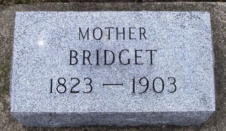 FLEMING, BRIDGET - Winneshiek County, Iowa | BRIDGET FLEMING 