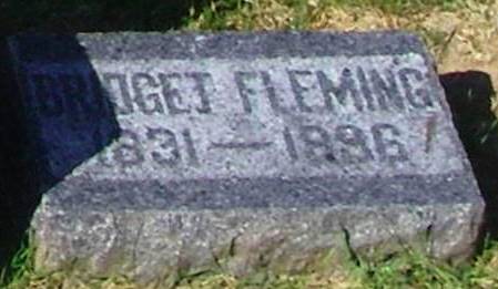 FLEMING, BRIDGET - Winneshiek County, Iowa | BRIDGET FLEMING 