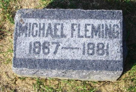 FLEMING, MICHAEL - Winneshiek County, Iowa | MICHAEL FLEMING 