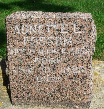 FOSS, AGNETTE E. - Winneshiek County, Iowa | AGNETTE E. FOSS 