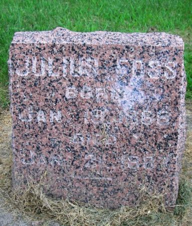FOSS, JULIUS - Winneshiek County, Iowa | JULIUS FOSS 
