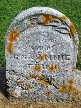 FRINK, ???? - Winneshiek County, Iowa | ???? FRINK 