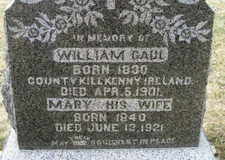 GAUL, WILLIAM - Winneshiek County, Iowa | WILLIAM GAUL 