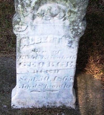 GEORGE, ALBERT E. - Winneshiek County, Iowa | ALBERT E. GEORGE 