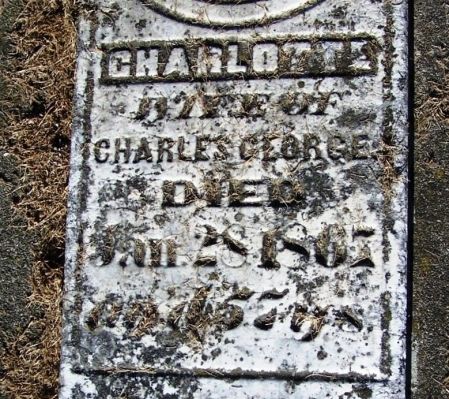 GEORGE, CHARLOTTE - Winneshiek County, Iowa | CHARLOTTE GEORGE 
