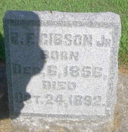 GIBSON, R. F. JR. - Winneshiek County, Iowa | R. F. JR. GIBSON 