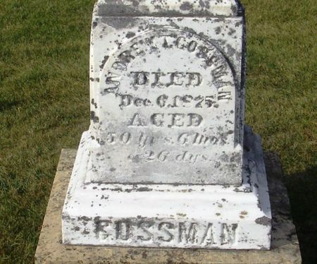 GOSSMAN, ANDREW T. - Winneshiek County, Iowa | ANDREW T. GOSSMAN 