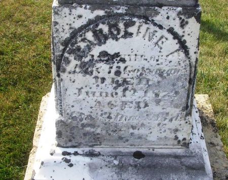 GOSSMAN, CAROLINE E. - Winneshiek County, Iowa | CAROLINE E. GOSSMAN 