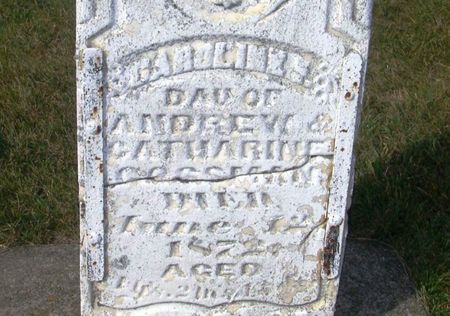 GOSSMAN, CAROLINE - Winneshiek County, Iowa | CAROLINE GOSSMAN 