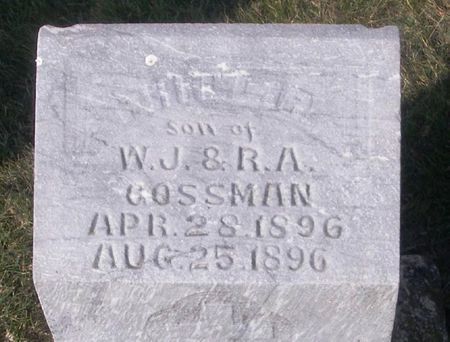 GOSSMAN, PHILLIP - Winneshiek County, Iowa | PHILLIP GOSSMAN 