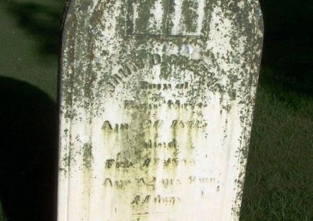 GREENE, JOHN D. - Winneshiek County, Iowa | JOHN D. GREENE 