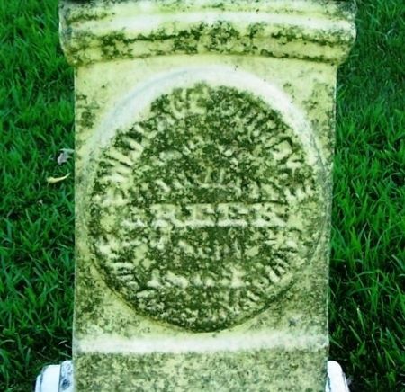 GREER, ???? - Winneshiek County, Iowa | ???? GREER 