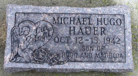 HAUER, MICHAEL HUGO - Winneshiek County, Iowa | MICHAEL HUGO HAUER 
