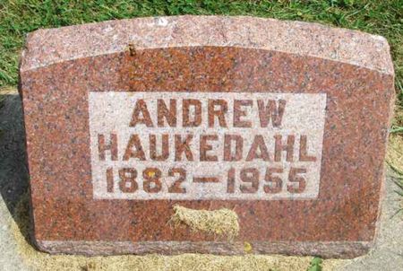 HAUKEDAHL, ANDREW - Winneshiek County, Iowa | ANDREW HAUKEDAHL 