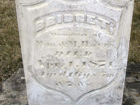 HAYES, BRIDGET - Winneshiek County, Iowa | BRIDGET HAYES 