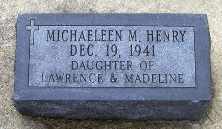 HENRY, MICHAELEEN M. - Winneshiek County, Iowa | MICHAELEEN M. HENRY 