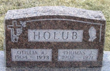 HOLUB, THOMAS J. - Winneshiek County, Iowa | THOMAS J. HOLUB 