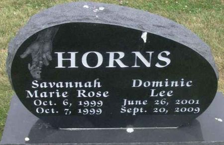 HORNS, DOMINIC LEE - Winneshiek County, Iowa | DOMINIC LEE HORNS 