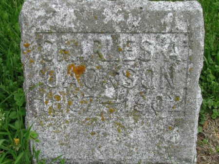JACKSON, CHARLES A. - Winneshiek County, Iowa | CHARLES A. JACKSON 