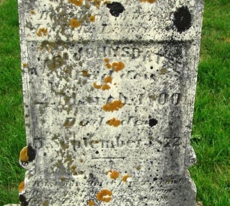 JOHNSDATTER, KARL - Winneshiek County, Iowa | KARL JOHNSDATTER 