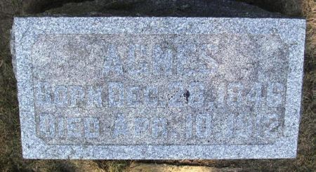 JOHNSON, AGNES - Winneshiek County, Iowa | AGNES JOHNSON 