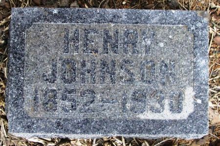 JOHNSON, HENRY - Winneshiek County, Iowa | HENRY JOHNSON 