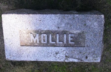 JOHNSON, MOLLIE - Winneshiek County, Iowa | MOLLIE JOHNSON 