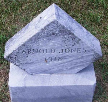 JONES, ARNOLD - Winneshiek County, Iowa | ARNOLD JONES 