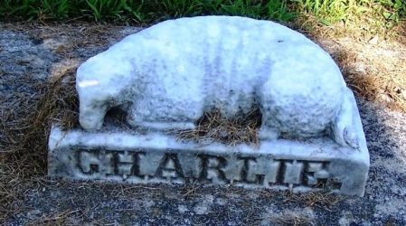 LANDERS, CHARLIE - Winneshiek County, Iowa | CHARLIE LANDERS 