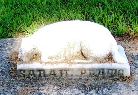 LANDERS, SARAH PLATO - Winneshiek County, Iowa | SARAH PLATO LANDERS 