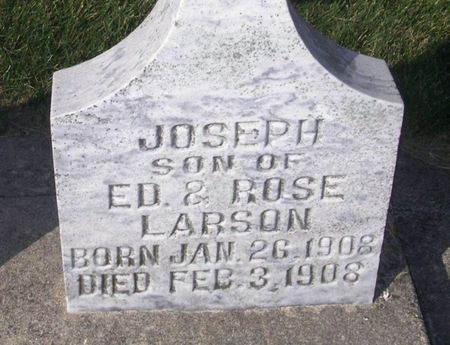 LARSON, JOSEPH - Winneshiek County, Iowa | JOSEPH LARSON 