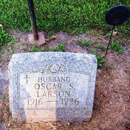 LARSON, OSCAR S. - Winneshiek County, Iowa | OSCAR S. LARSON 