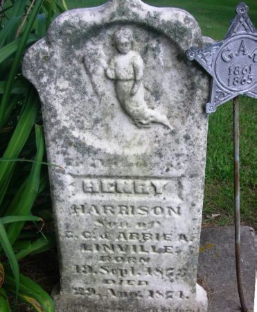LINVILLE, HENRY HARRISON - Winneshiek County, Iowa | HENRY HARRISON LINVILLE 
