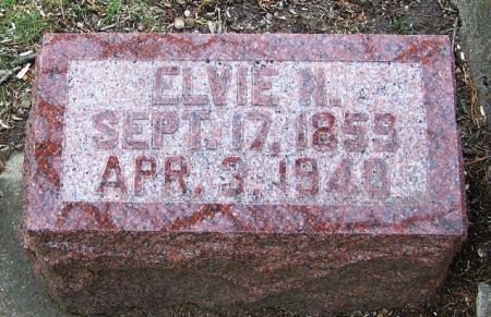 LOGSDON, ELVIE N. - Winneshiek County, Iowa | ELVIE N. LOGSDON 