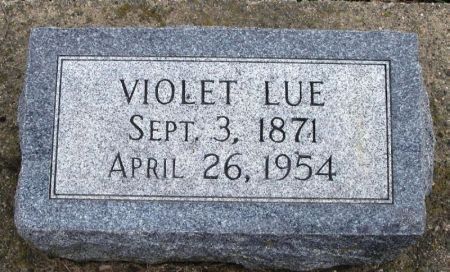 WELLS, VIOLET LUE - Winneshiek County, Iowa | VIOLET LUE WELLS 