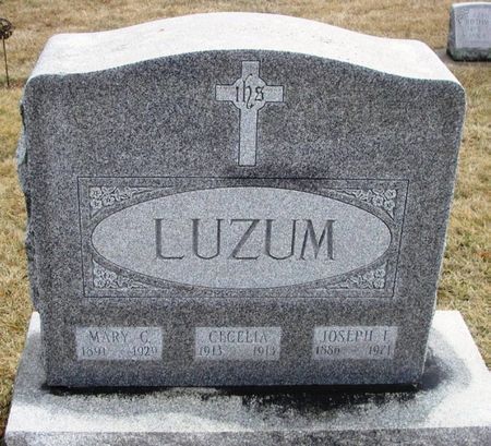 LUZUM, JOSEPH F. - Winneshiek County, Iowa | JOSEPH F. LUZUM 