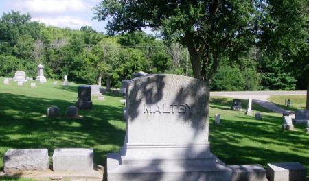 MALTBY, ALANSON FAMILY STONE - Winneshiek County, Iowa | ALANSON FAMILY STONE MALTBY 