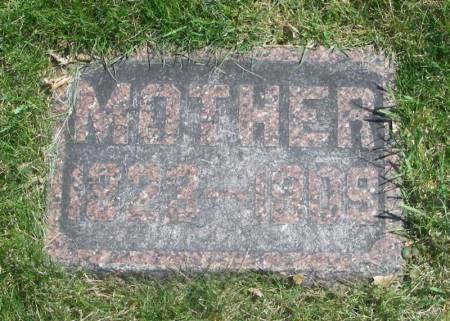 HITCHCOCK MANNING, LUCY SOPHIA  - Winneshiek County, Iowa | LUCY SOPHIA  HITCHCOCK MANNING 