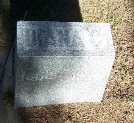 MASON, DIANA C. - Winneshiek County, Iowa | DIANA C. MASON 