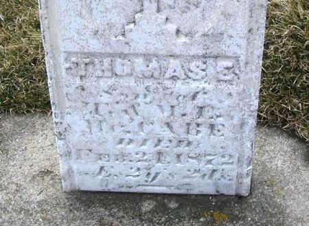 MCCABE, THOMAS E. - Winneshiek County, Iowa | THOMAS E. MCCABE 