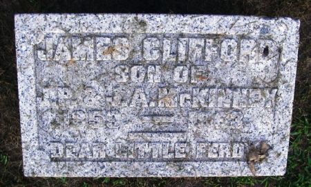 MCKINNEY, JAMES CLIFFORD - Winneshiek County, Iowa | JAMES CLIFFORD MCKINNEY 