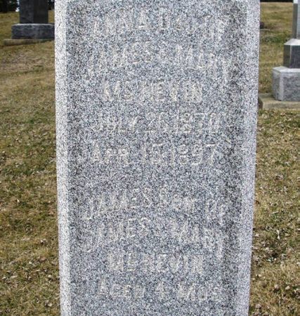 MCNEVIN, JAMES - Winneshiek County, Iowa | JAMES MCNEVIN 