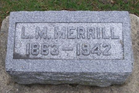MERRILL, L. M. - Winneshiek County, Iowa | L. M. MERRILL 