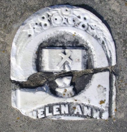 MILLER, HELEN ANN - Winneshiek County, Iowa | HELEN ANN MILLER 