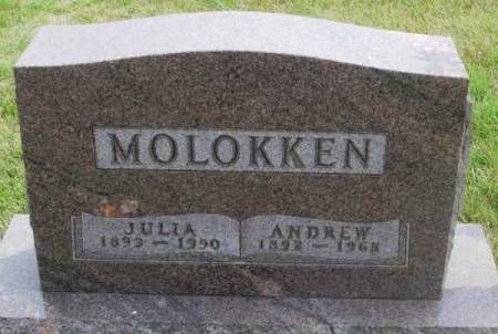 MOLOKKEN, JULIA - Winneshiek County, Iowa | JULIA MOLOKKEN 