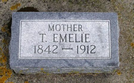 NEHRING, T. EMELIE - Winneshiek County, Iowa | T. EMELIE NEHRING 