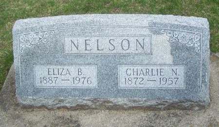 NELSON, ELIZA B. - Winneshiek County, Iowa | ELIZA B. NELSON 